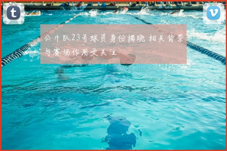 公牛队23号球员身份揭晓 相关背景与赛场作用受关注