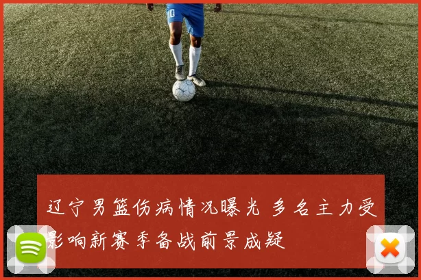 辽宁男篮伤病情况曝光 多名主力受影响新赛季备战前景成疑