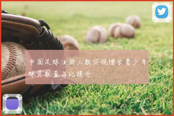 中国足球注册人数实现增长青少年球员数量占比提升