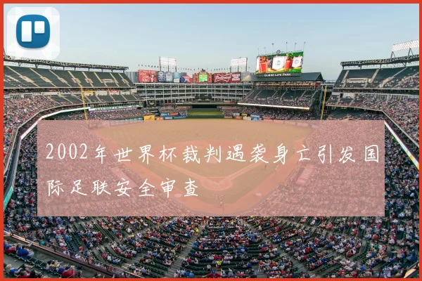 2002年世界杯裁判遇袭身亡引发国际足联安全审查