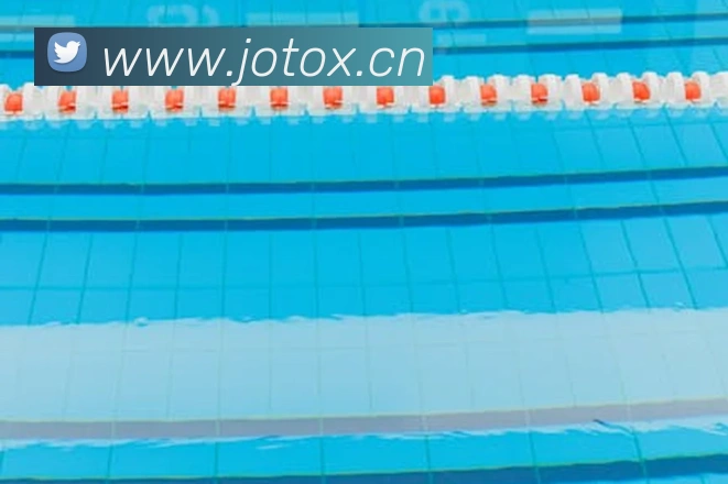 b sports官网登录入口平台生态图